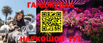 индика Малоярославец