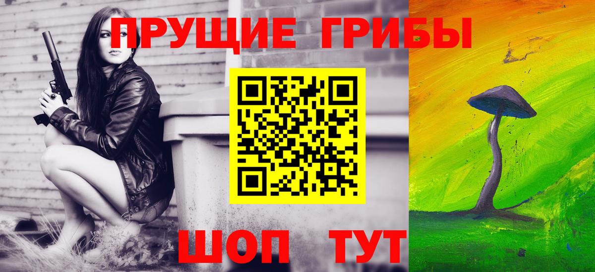 Псилоцибиновые грибы Psilocybe Десногорск