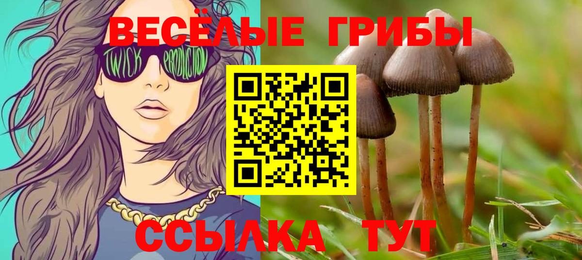 Амфетамин Десногорск